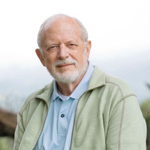 java brain supplements