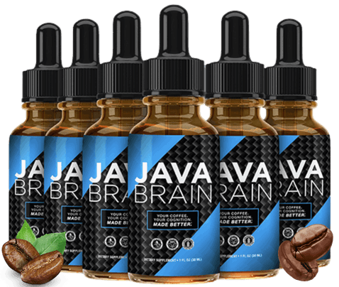 java brain official website