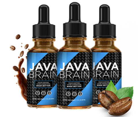 java brain official website